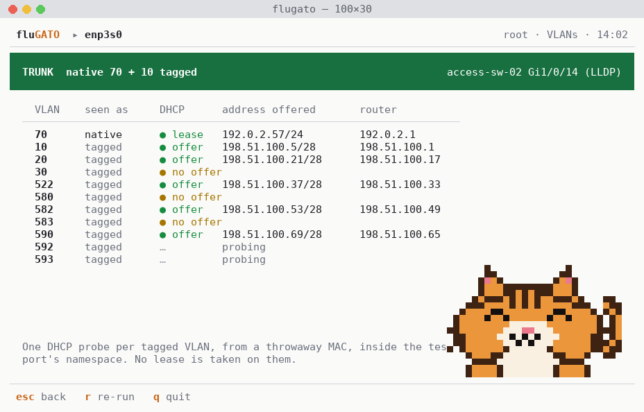 The VLANs screen: a trunk with native VLAN 70 and ten tagged VLANs, each with a DHCP probe result and the address it offered.